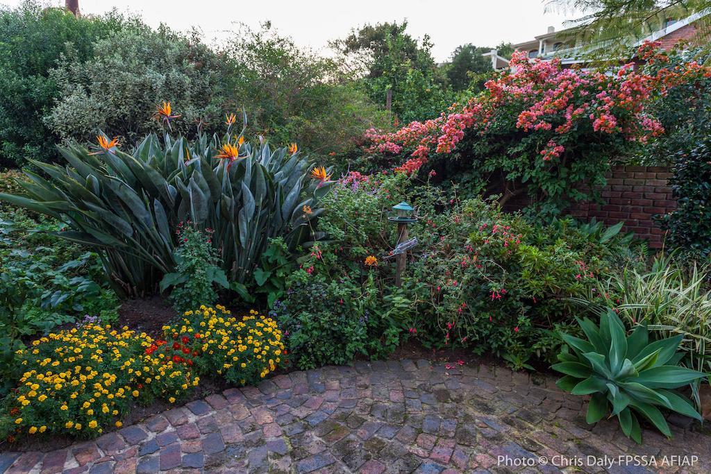 Paradise Found Knysna Exterior photo